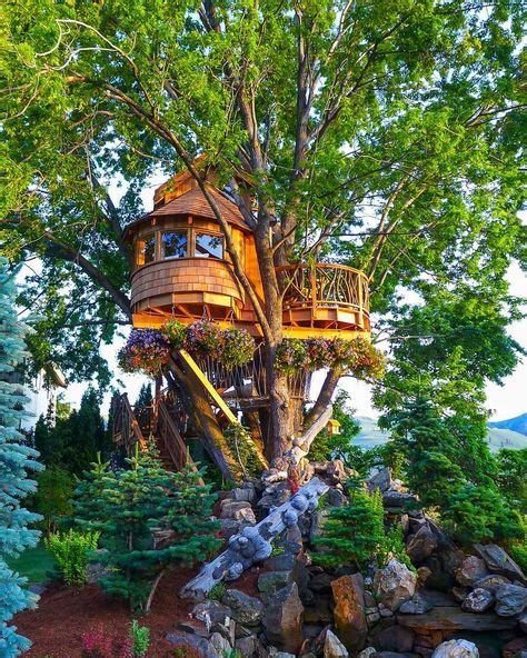 21 Unbeliavably Amazing Treehouse Ideas That Will Inspire You Tree