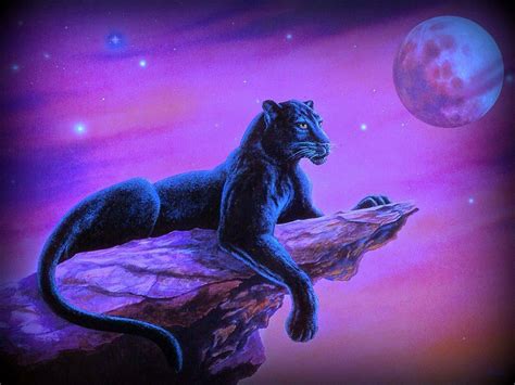 Panther Animal Spirit Guides Space Cat Panther Art