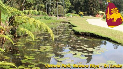 Victoria Park Nuwara Eliya In Sri Lanka Youtube