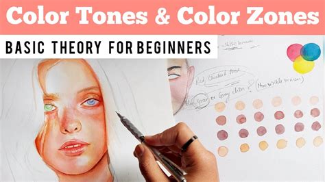 Skin Tones And Color Zones Of The Face Color Theory For Beginners 🌈
