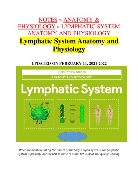 Solution Lymphatic System Anatomy And Physiology Lymphatic System