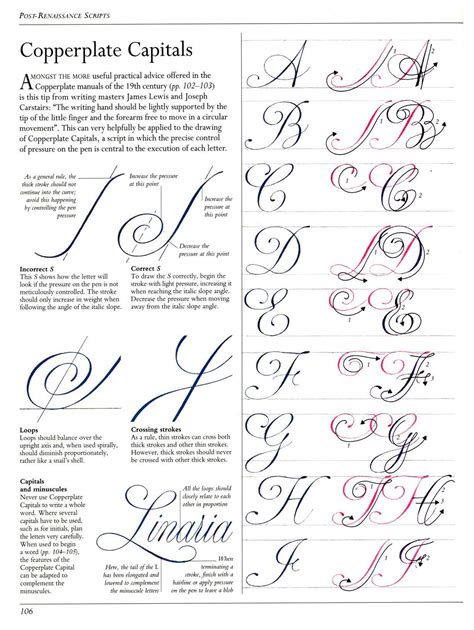 Copperplate Calligraphy Calligraphy Practice How To Write Calligraphy