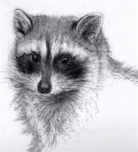 A Fox Sketch By Pencil Pencil Drawings Of Animals Animal Drawings