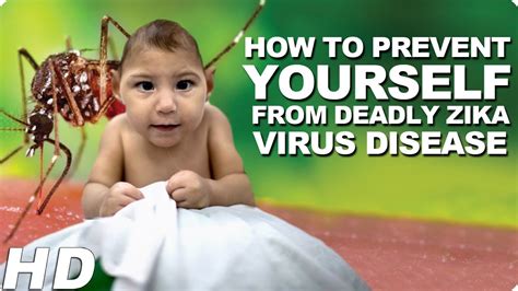 How To Prevent Yourself From Deadly Zika Virus Disease Zika Virus
