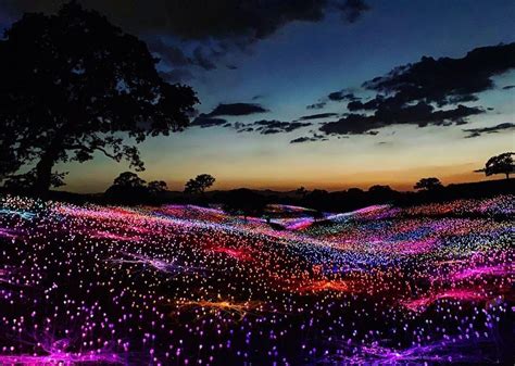 A New Lightscape Art Installation Is An Illuminated Version Of The