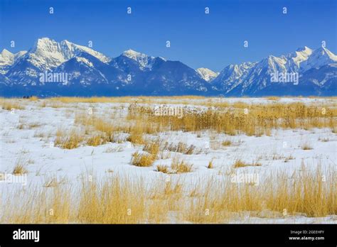 Mt D9316 Hi Res Stock Photography And Images Alamy