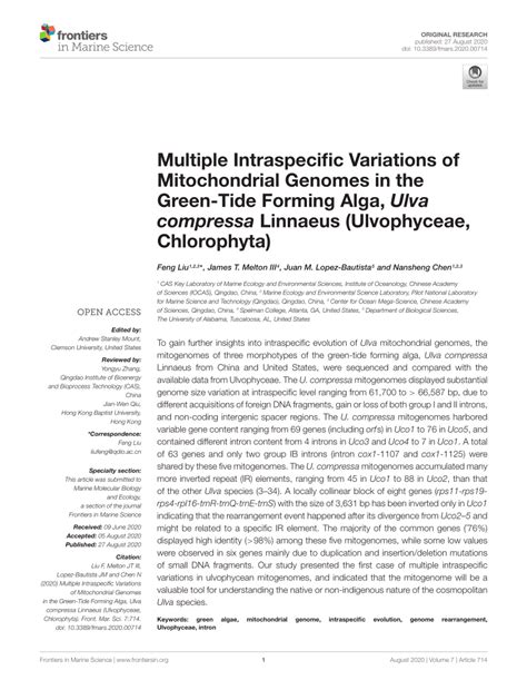 Pdf Multiple Intraspecific Variations Of Mitochondrial Genomes In The