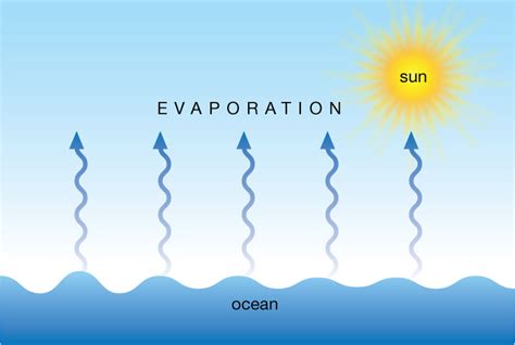 Evaporation The Water Cycle