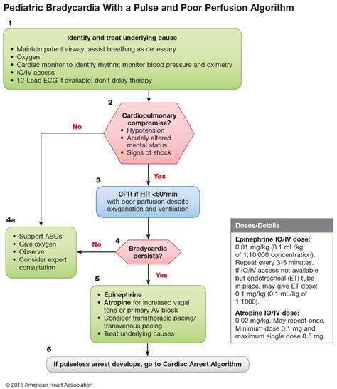 Part 12 Pediatric Advanced Life Support Ecc Guidelines 2015