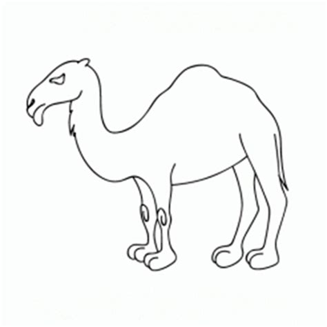 Cómo Dibujar Un Camello Comodibujarclub