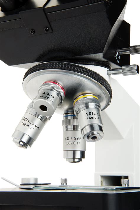 Celestron CB C Compound Binocular Microscope W X X Power Mechanical Stage Fully