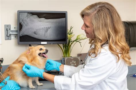 We offer mobile pet care to homes in meridian, eagle, boise, nampa, caldwell, star, kuna and anywhere in the treasure valley. Radiology Bluffton SC - Buckwalter Veterinary Clinic