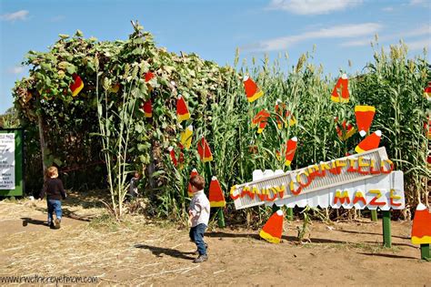 Looking for some fun things to do this summer and don't want to go too far? Sweet Berry Farm | Fall Pumpkin Patch near Austin, Texas