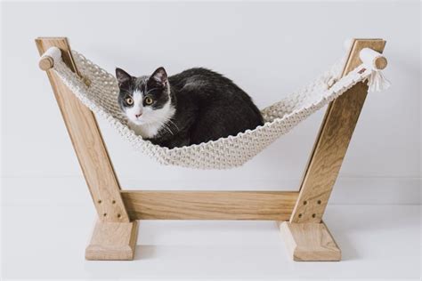 Macrame Cat Hammock Bed Etsy Maka Art Crafts Apartment Therapy