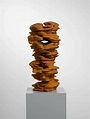 Tony Cragg | Artists | Lisson Gallery