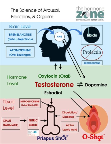 Erectile Dysfunction A Comprehensive Treatment Option