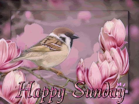 Happy Sunday Cute Day Pink Bird Bear Friend Days Of The Week Sunday