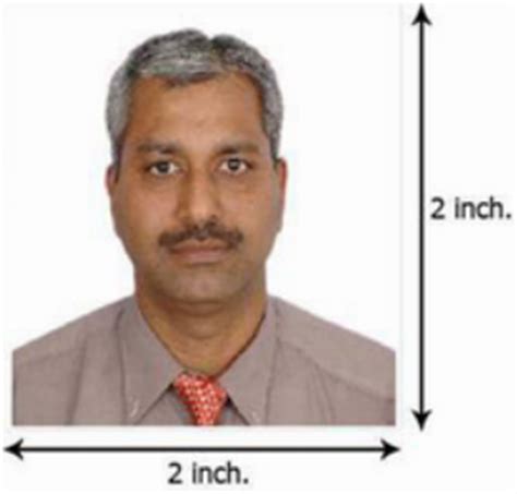 Image pixel dimensions must be in a square aspect ratio head size in passport photos for new zealand. Photo SPECIFICATION