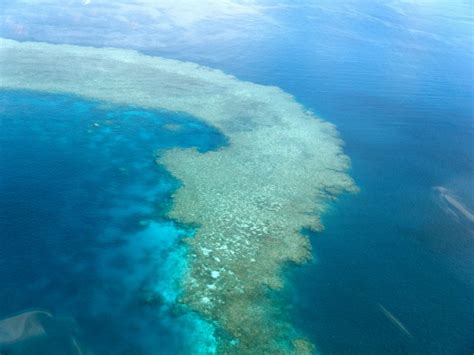 Coral Reefs Create Their Own ‘cloud Umbrellas To Stay Cool Griffith News