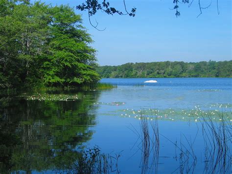 Dennis Pond Conservation Area Town Of Yarmouth Ma Official Website