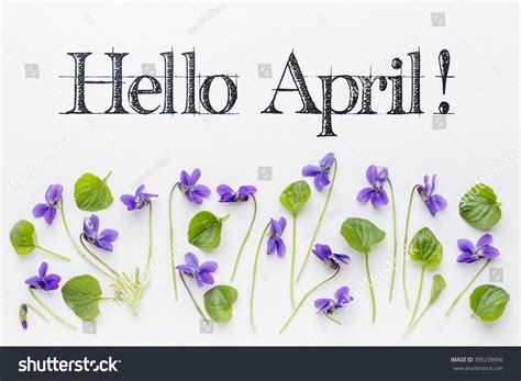 Hello April Greetings Fresh Viola Flowers Stock Photo 395239096