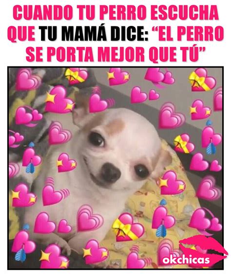 Gracias Mamá Humana 🐶💞 Meme Gracioso Memes Graciosos Memes Divertidos