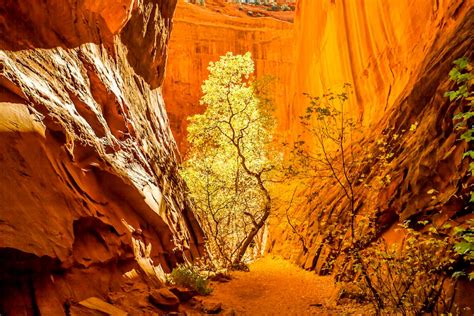 Grand Staircase Escalante National Monument