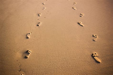 Footprints International Christian College And Seminary