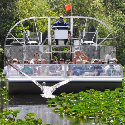 Everglades Safari Park Miamis Top Attractions Island Queen Cruises