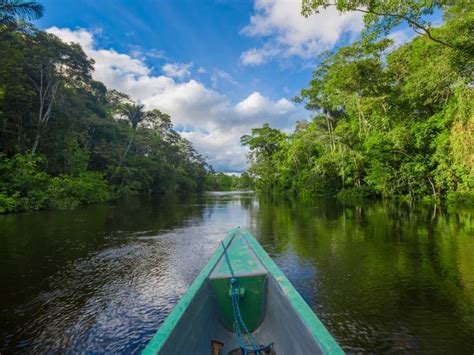 A Guide To Visiting The Amazon Rainforest On The Go Tours