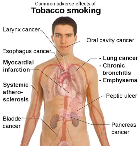 smoking health risks health effects of smoking