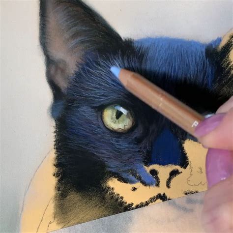 Drawing Cat Hair In Pastels Animal Drawings Cute Paintings Pastel Art