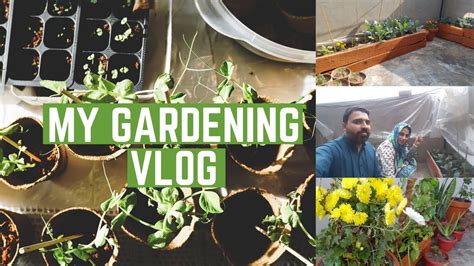 my gardening vlog gardening hacks you ll want to know terrace garden madeeha qasim youtube