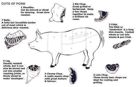 Our pigs are first shot to stun them, and then throats are cut. http://enjoyxo.files.wordpress.com/2012/05/cuts-of-pork ...
