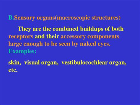 Solution Surgery Final Year Ophalmology Sensory Organs Eye Studypool