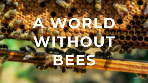 A World Without Bees Youtube