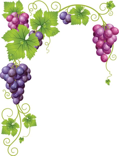 Grapes clipart date fruit, Grapes date fruit Transparent ...