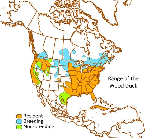 Bird Ranges Upper Mississippi Great Lakes Joint Venture