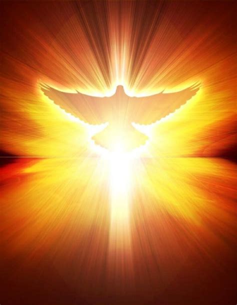 Pentecost Dove May God S Holy Spirit Fill Us With His Insight And