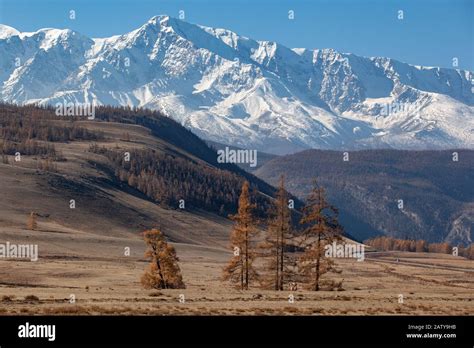 Autumn In The Altai Mountain Range Russia Siberia Stock Photo Alamy