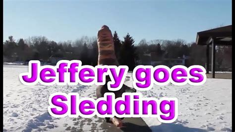 Jeffery The Dinosaur Goes Sledding Youtube