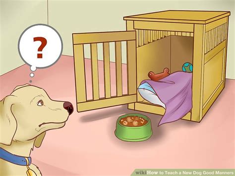 How To Teach A New Dog Good Manners 14 Steps With Pictures