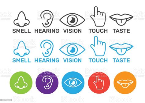 Icon Human Senses Vision Smell Hearing Touch Taste Icons Sense Nose Ear