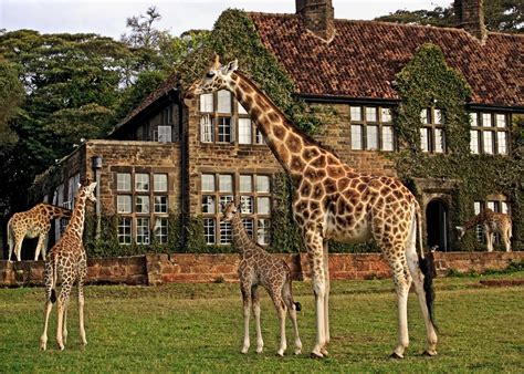 Giraffe Manor Hotels In Nairobi Audley Travel