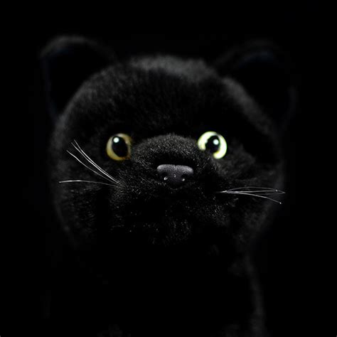 Realistic Black Cat Stuffed Animal Plush Toy Keaiart