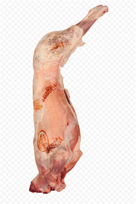 Whole Sheep Lamb Mutton Goat Meat Citypng
