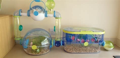 Habitrail Hamster Cages In Leeds West Yorkshire Gumtree