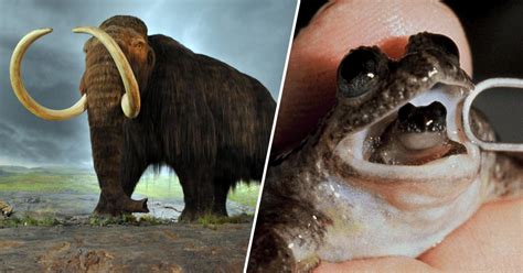 10 Extinct Animals Scientists Can Bring Back From The Dead