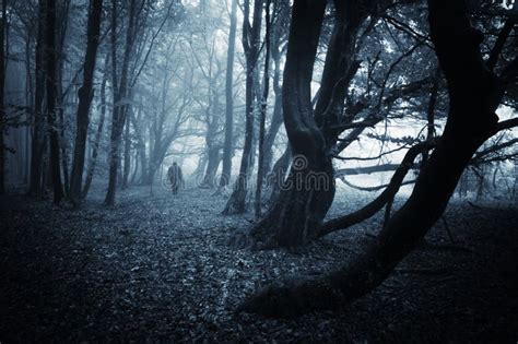 Eng Donker Bos Met Mist Op Halloween Stock Foto Image Of Landschap