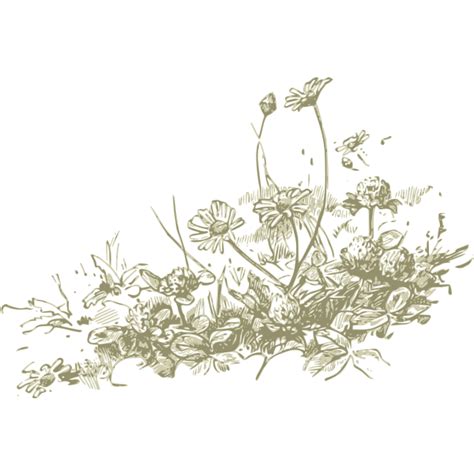 Wild Flowers Vector Drawing Free Svg